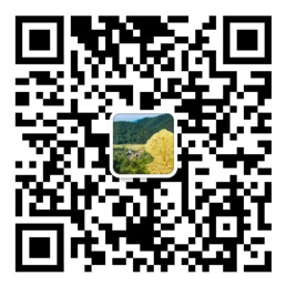 盈彩网app